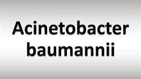How to pronounce Acinetobacter baumannii.